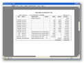 Mini Excel Accounting